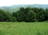 N�vraty k divo�in� &ndash; Poloniny