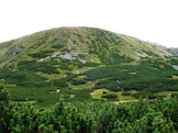 N�vraty k divo�in� &ndash; N�zk� Tatry