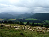 N�vraty k divo�in� &ndash; N�zk� Tatry