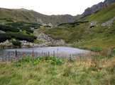 N�vraty k divo�in� &ndash; N�zk� Tatry