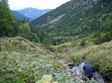 N�vraty k divo�in� &ndash; N�zk� Tatry
