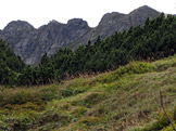 N�vraty k divo�in� &ndash; N�zk� Tatry