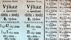Potravinový lístek z roku 1915 (zdroj: soukromý archiv Romana Vondry)