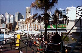 POSTCARD FROM SYDNEY