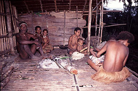 THE HUMAN PLANET AN EXPEDITIONSTO THE NATIVE PEOPLES OF NEW GUINEA