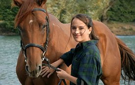 SIGN OF THE HORSE