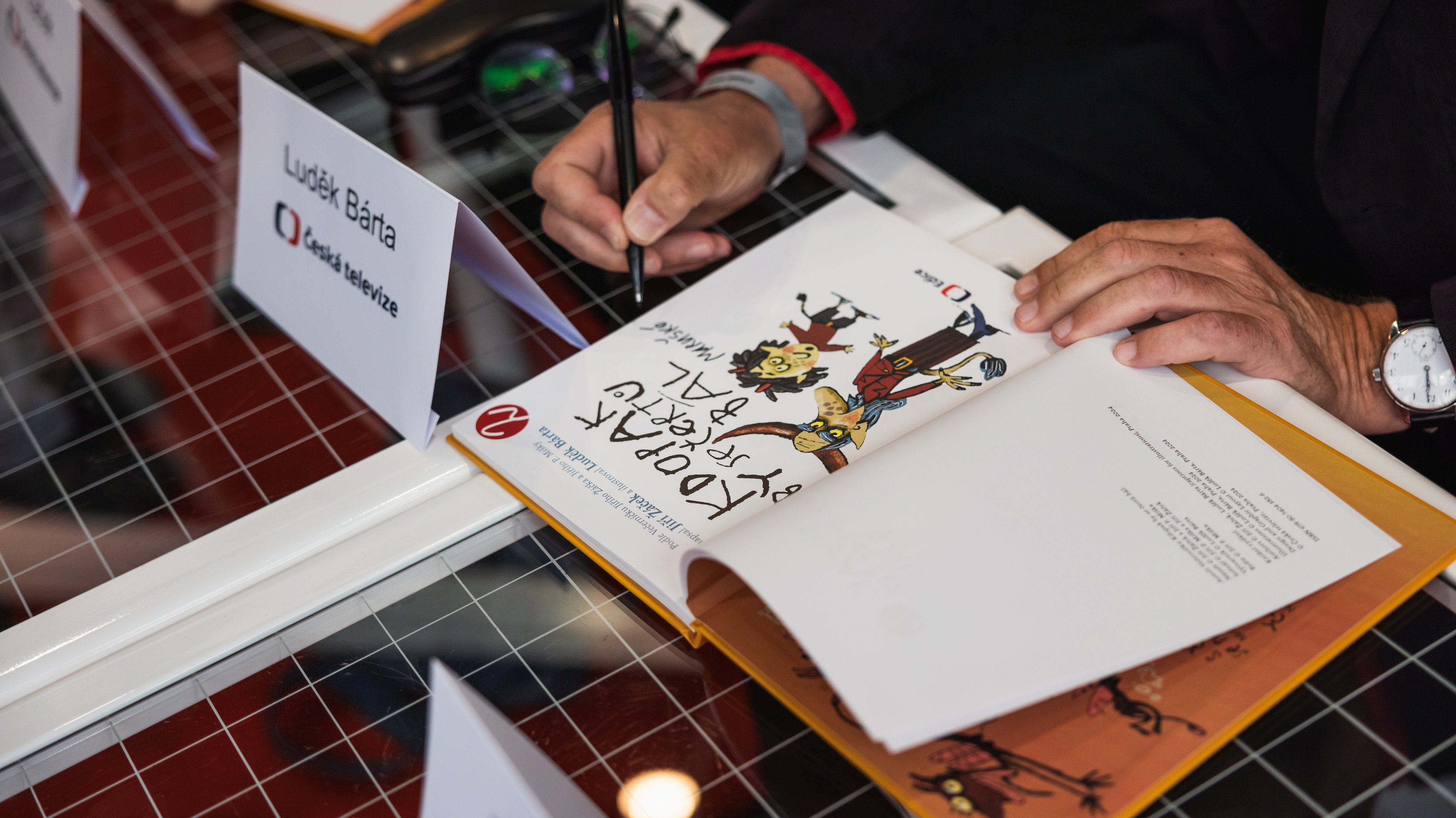 Svět knihy 2024_Baráková_20240526_688A4102