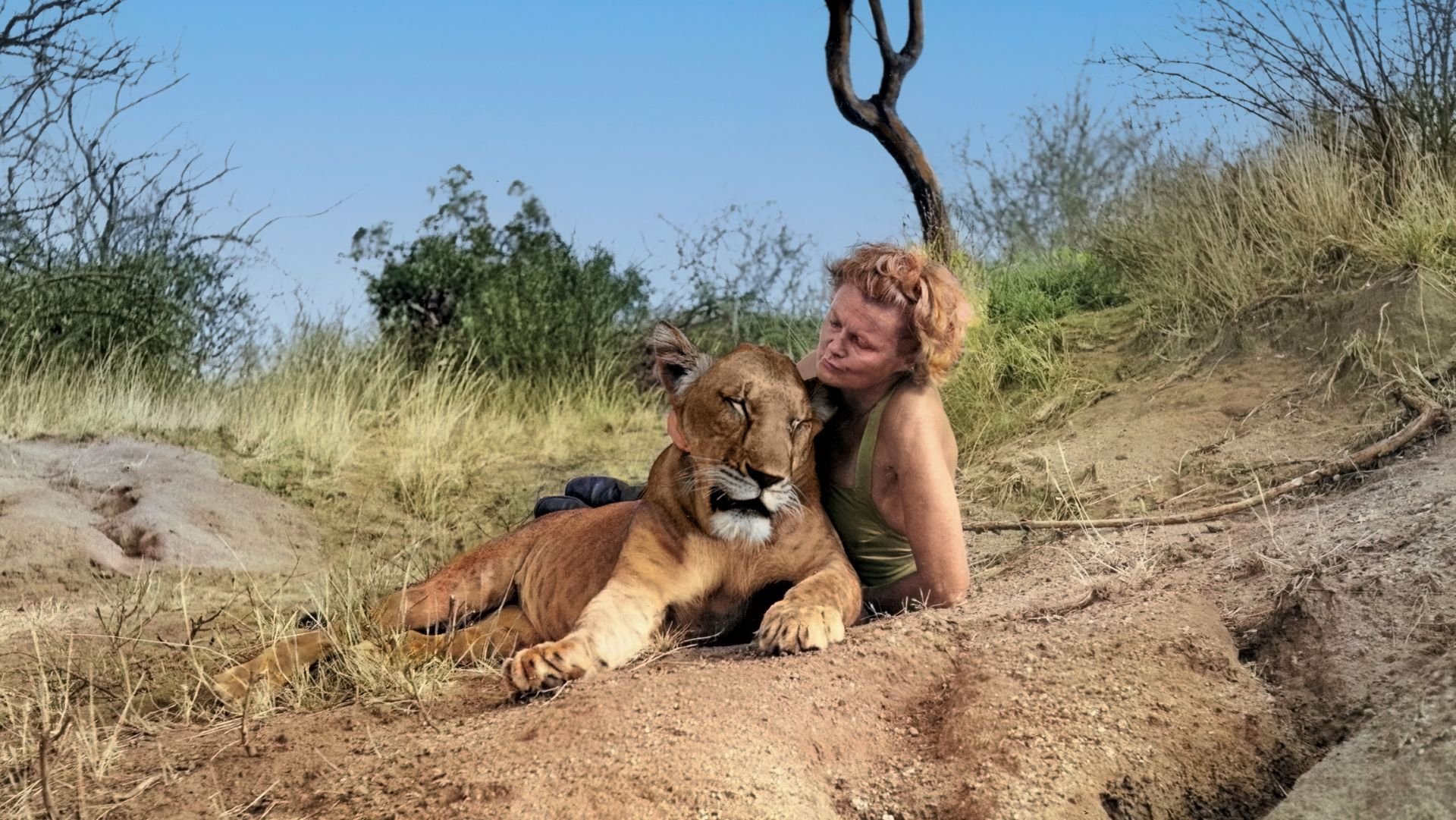 Zrozena pro Afriku © Česka televize Joy Adamsonová se lvici Elsou