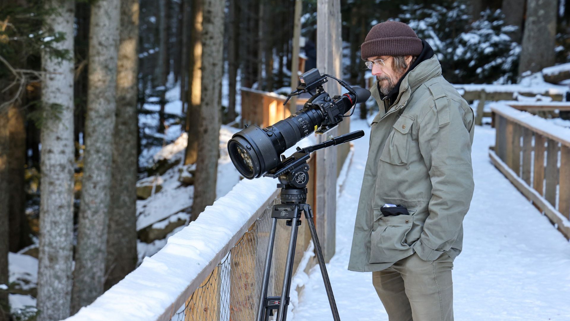 Krajina Dana Bárty © Česká televize pruvodce a druhy kameraman Dan Barta ceka na vlky v Srni NP Sumava pribeh vlci smecky foto Štěpán Rosenkranz