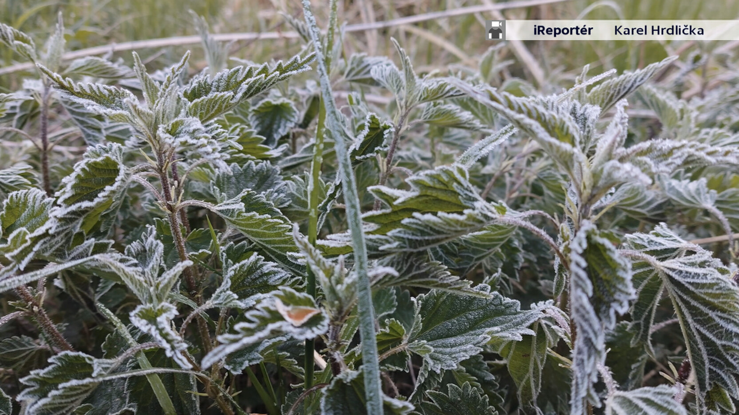 iReportér © Česká televize (4)