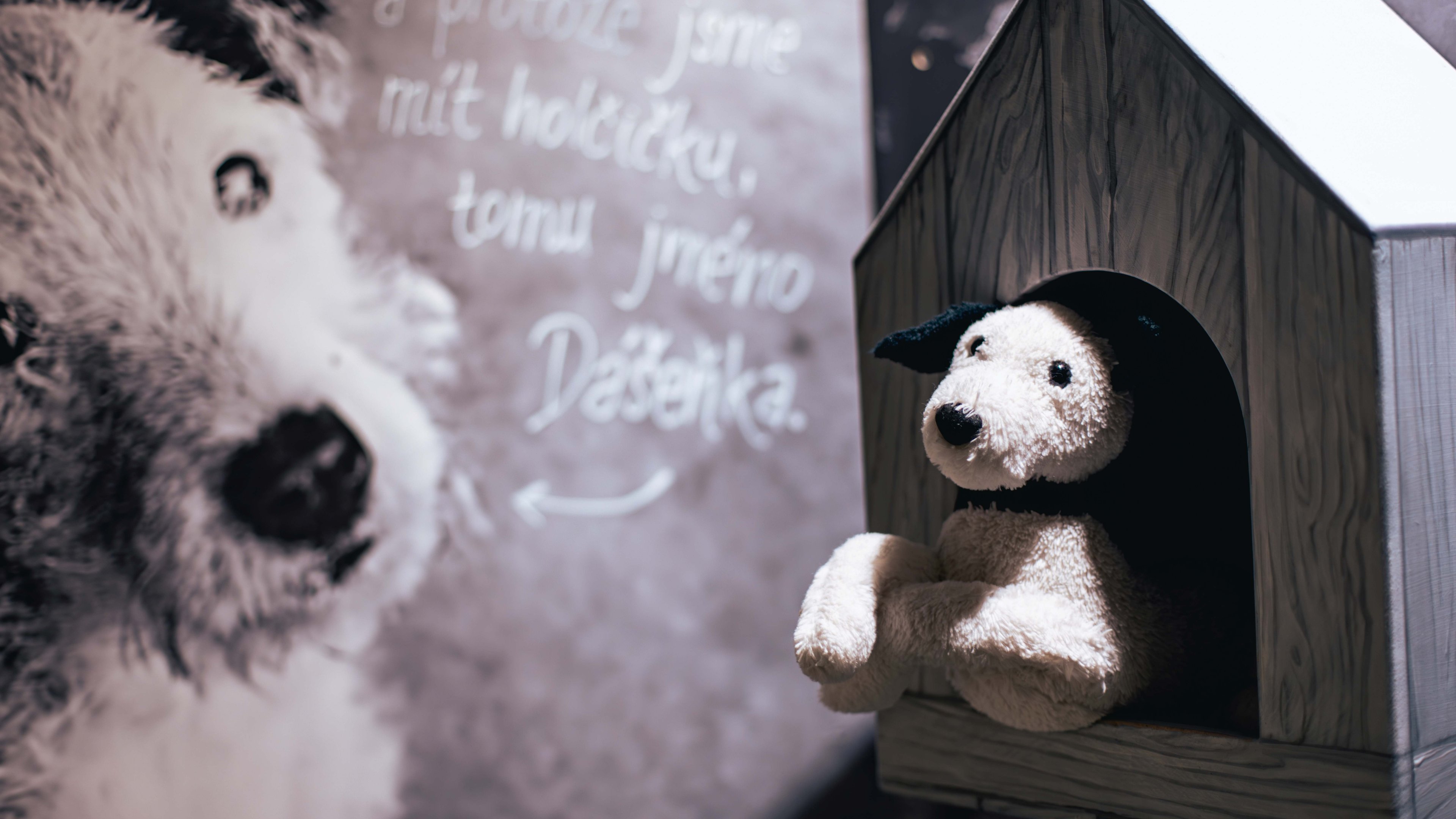 Vecernicek_60_let_Kavalo_20260212__G0A8829